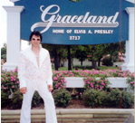 Don at Graceland