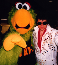 Pirate Parrot and Don